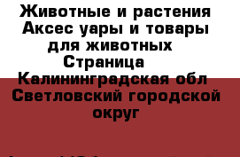 Животные и растения Аксесcуары и товары для животных - Страница 2 . Калининградская обл.,Светловский городской округ 